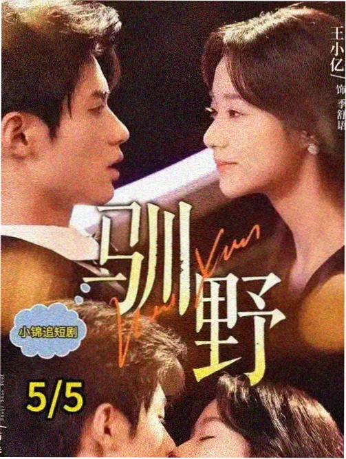 春季片单 配图